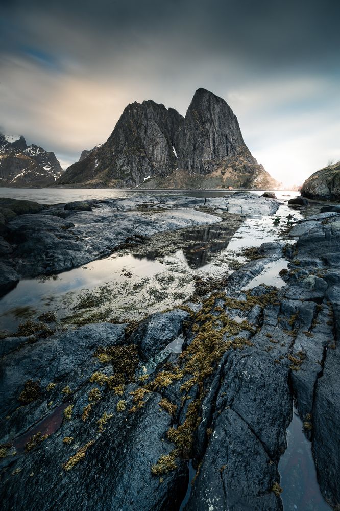 Photograph by Alexis Crozier