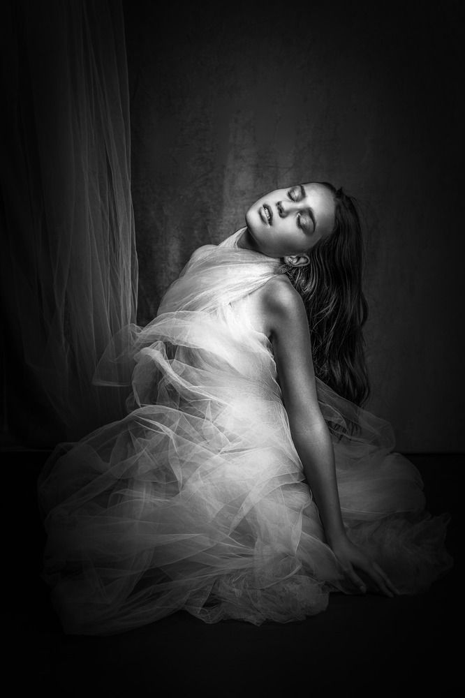 Фотография автора Robert Stein