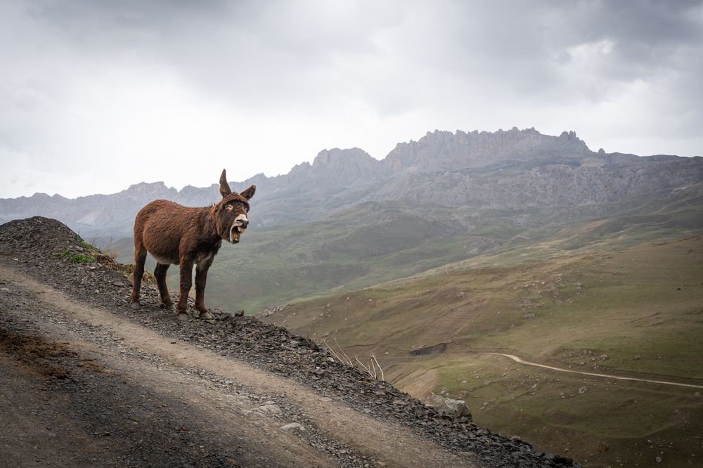 Фотография автора Григорий Зверев