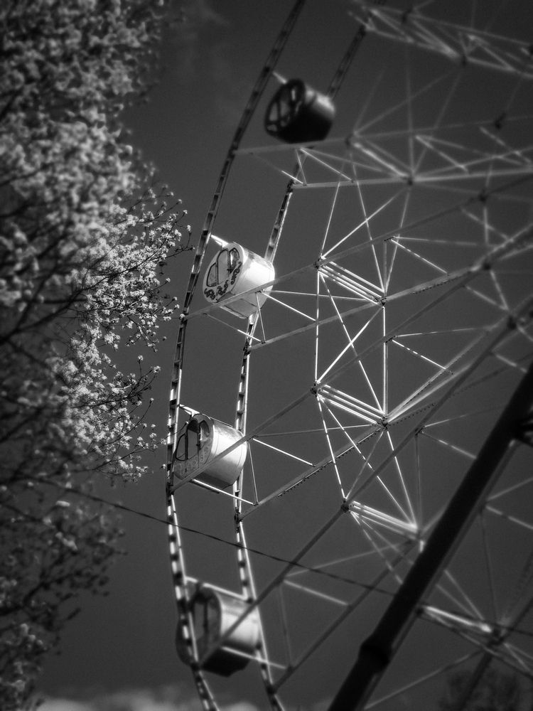 Photograph by Наталья Тополевская