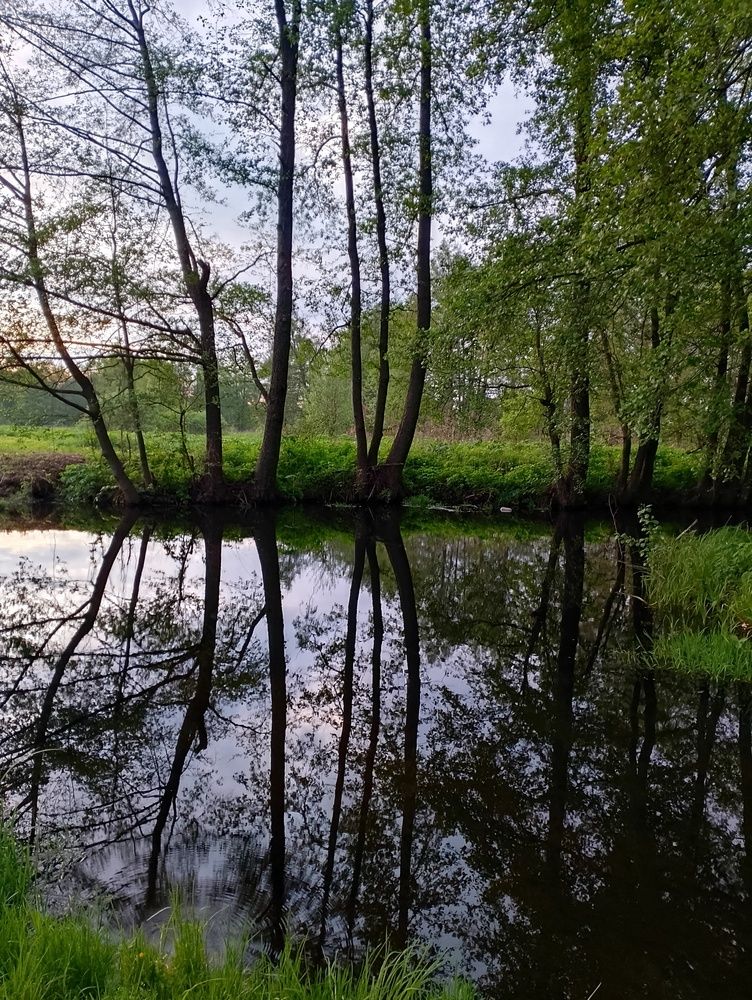 Photo #12185408