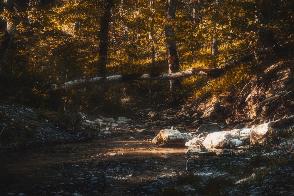 Photograph by Антон Порохня