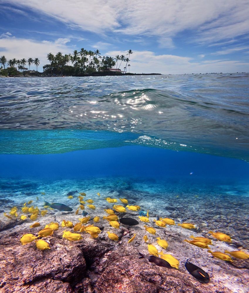 Photograph by Marina Poushkina