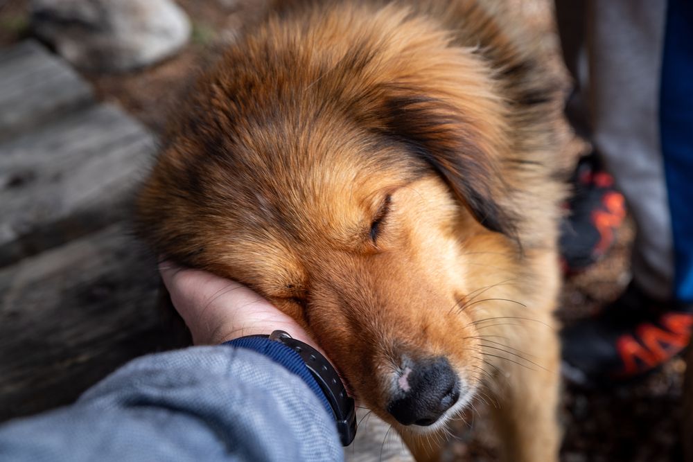 Photograph by Maksim Afanasev