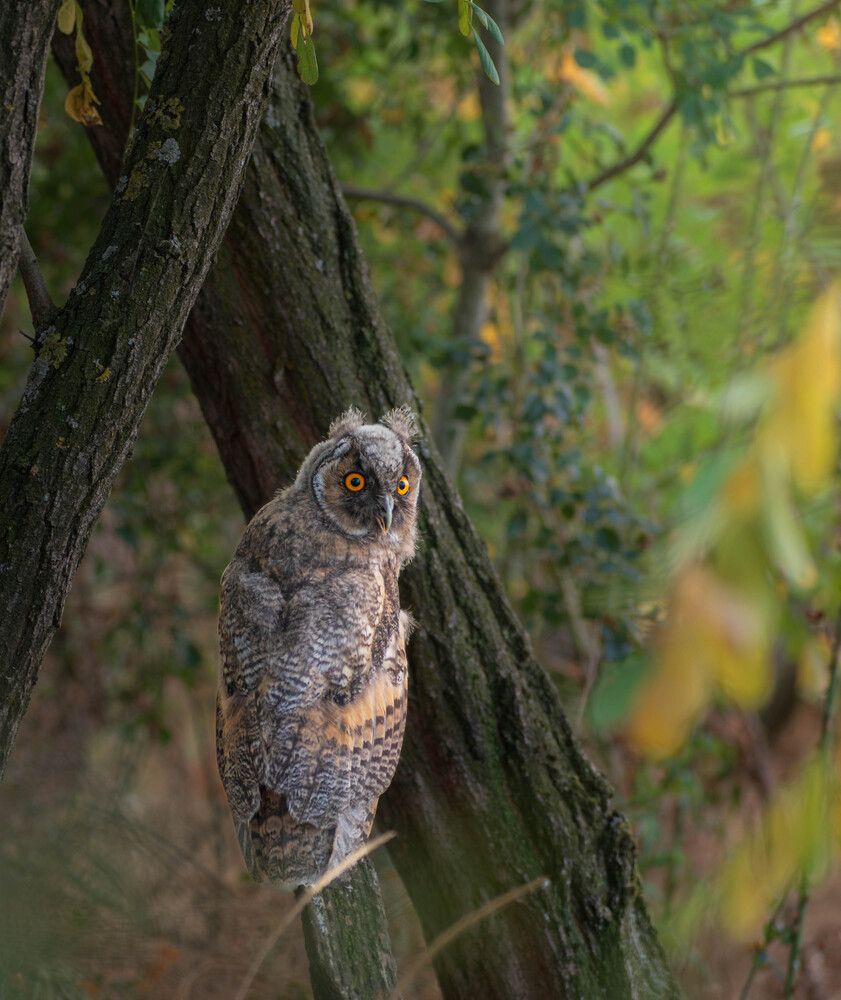 Photograph by Милан Ђорђевић