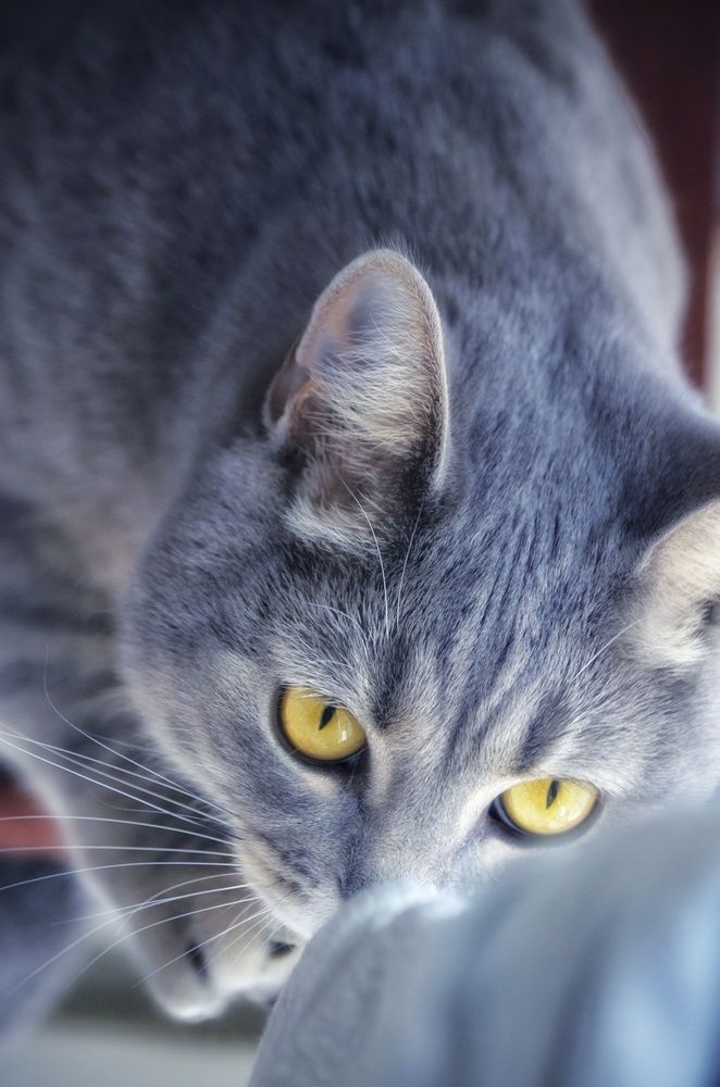 Photograph by Алена Самошина