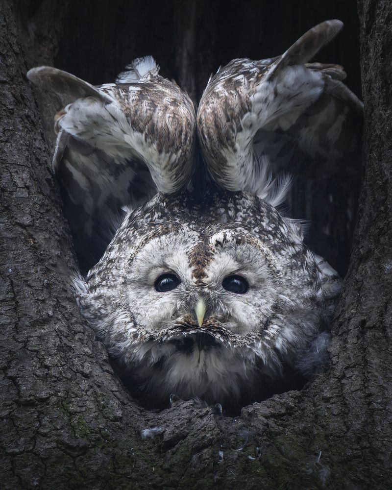 Photograph by Поляков Михаил