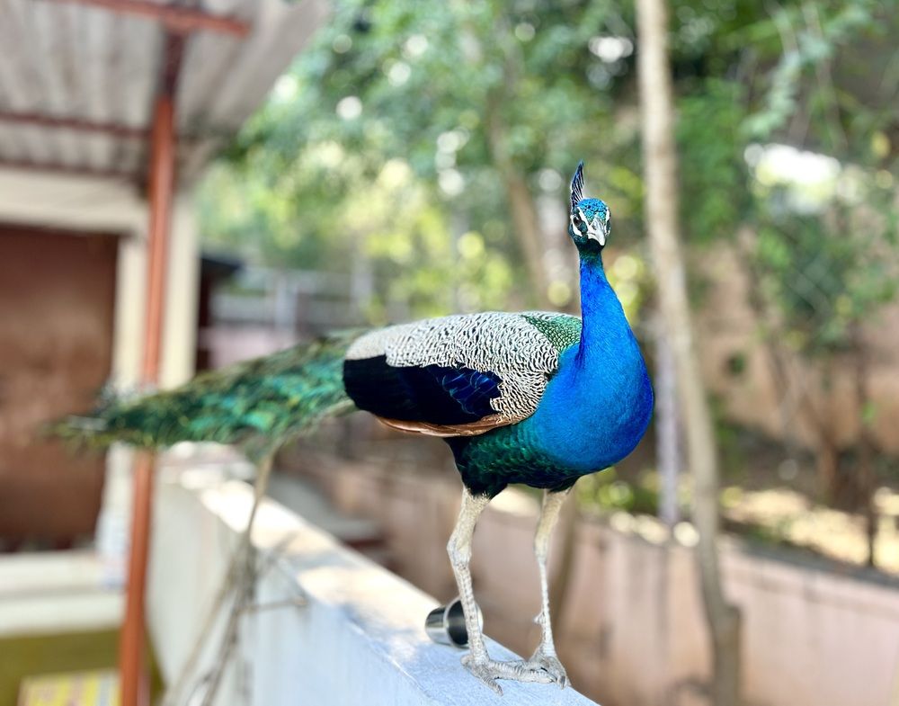 Фотография автора Prabhu Viswanathan
