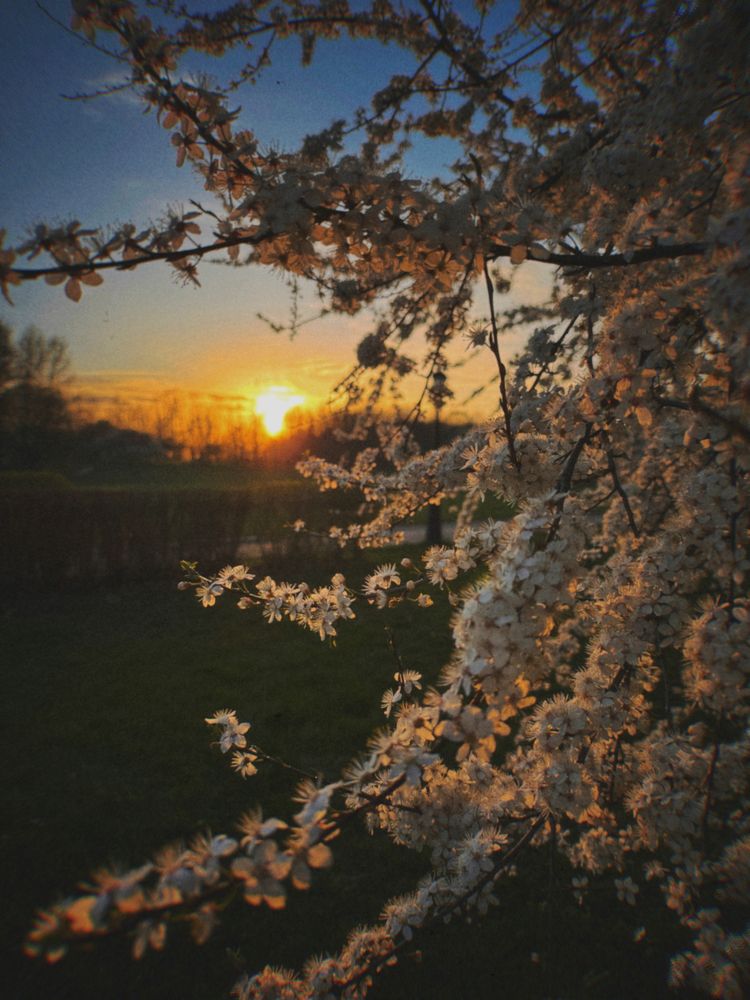 Photograph by Галина Махонь