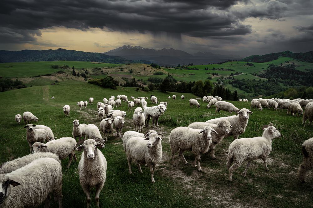 Photograph by Tomasz Urban