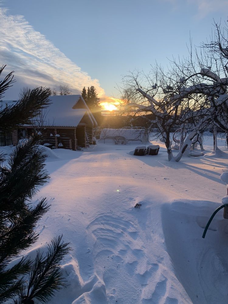 Photograph by Елена