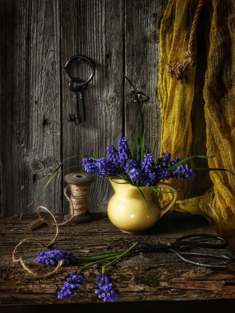 Photograph by Angelica Medvedeva