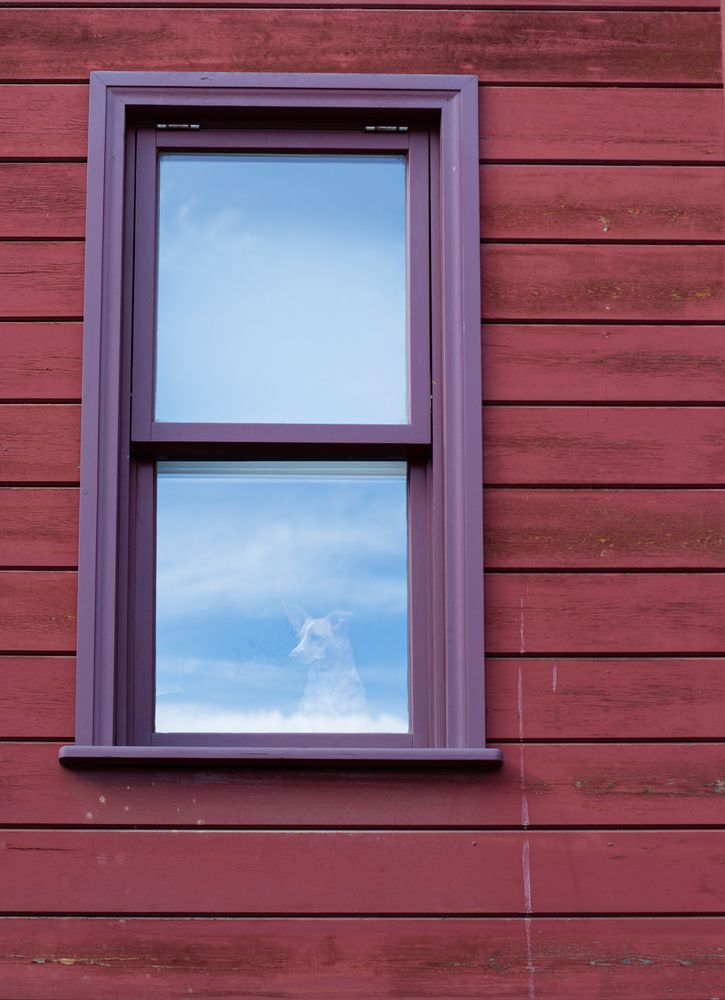 Фотография автора Татьяна Васильева