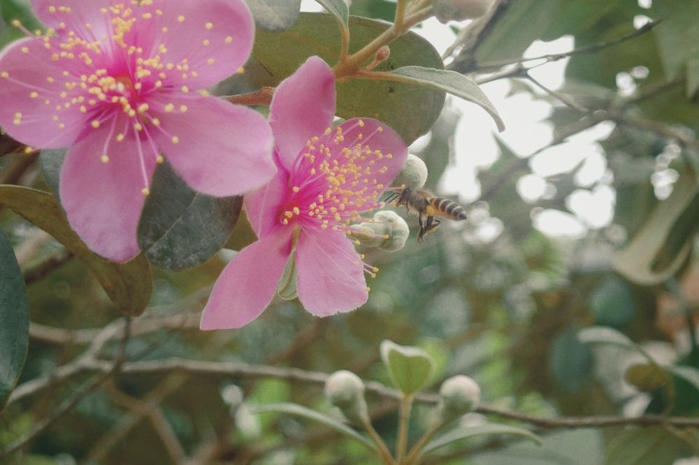 Photograph by OTABIT
