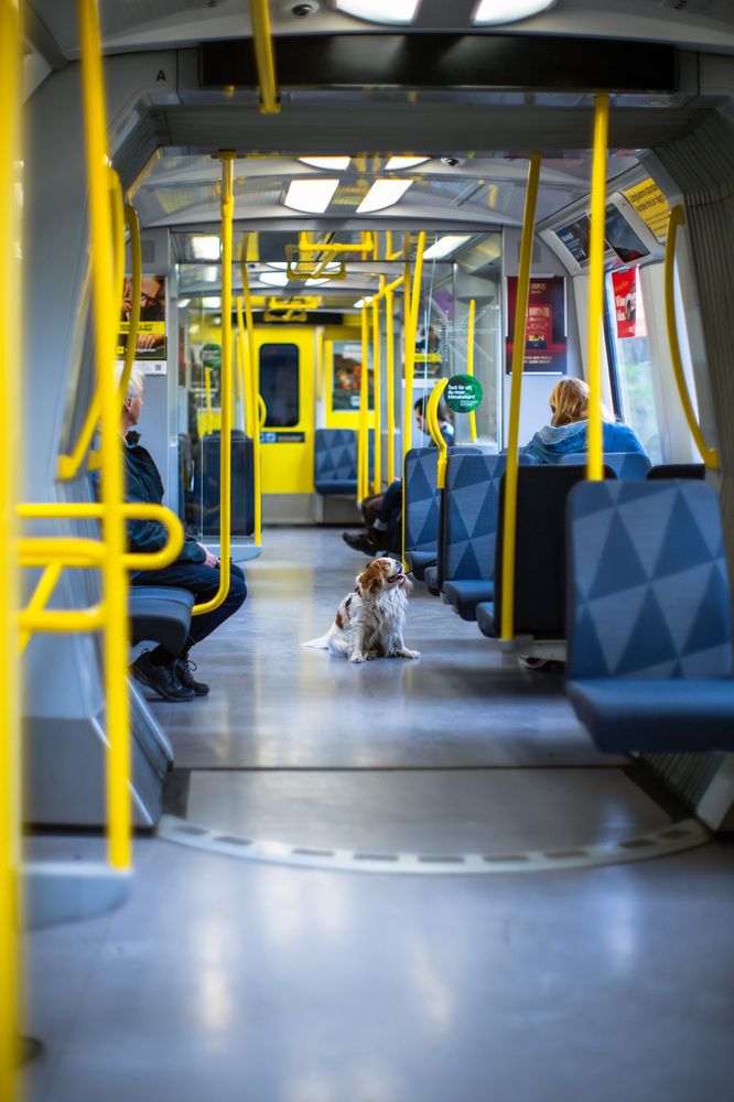 Фотография автора Ruslan Badykov