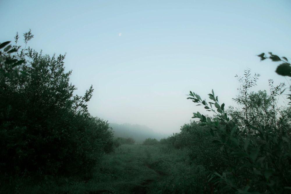 Фотография автора Александр Крапачев