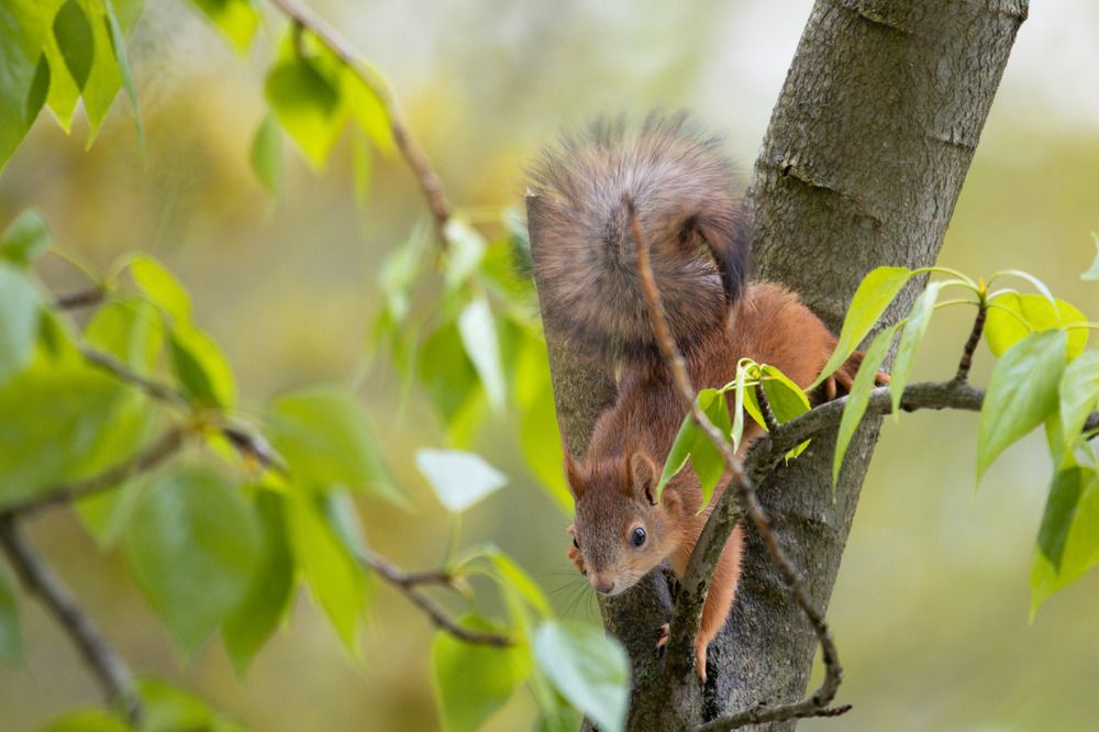 Photograph by Кульчицкий Андрей