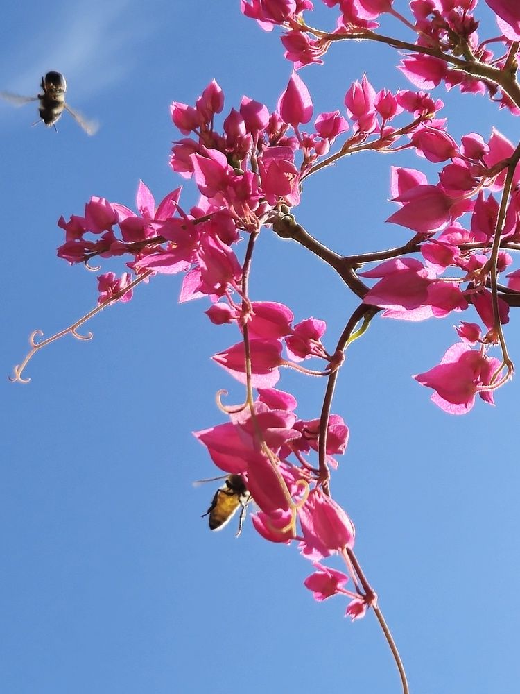 Photograph by Juliana