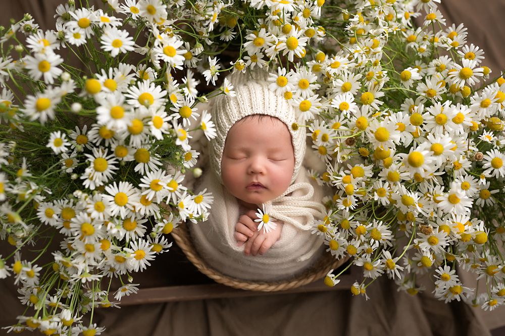 Photograph by Alla Vaneeva