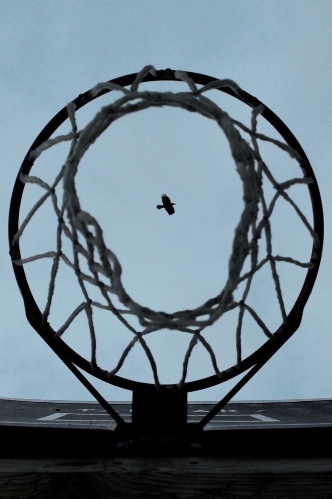 Photograph by Александр Крапачев