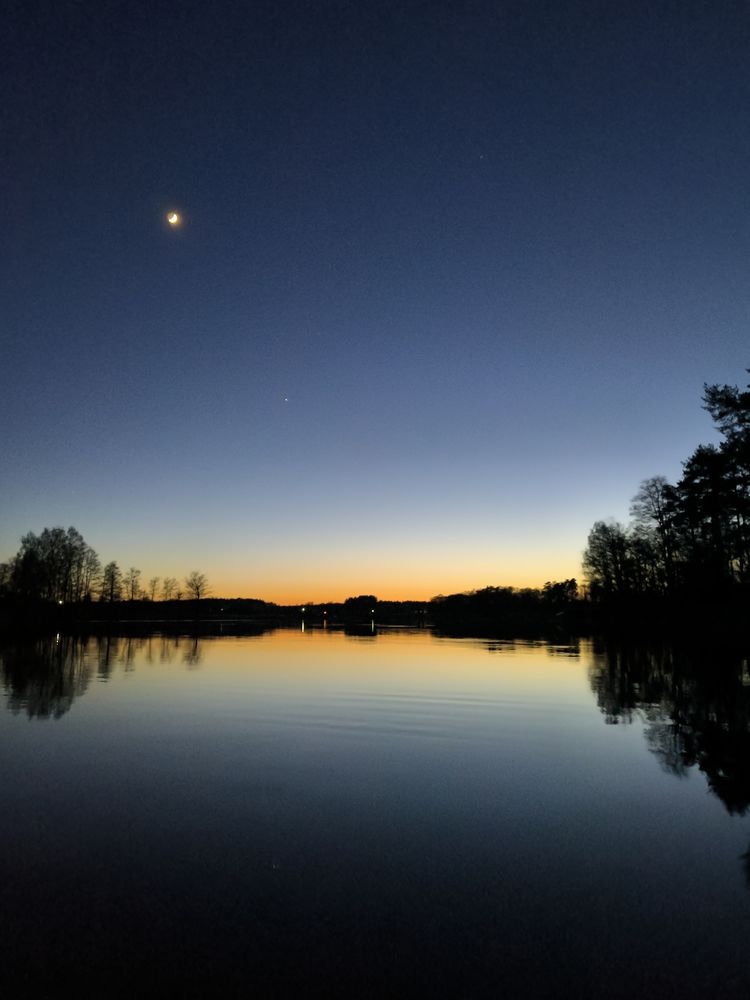Photo #12186745