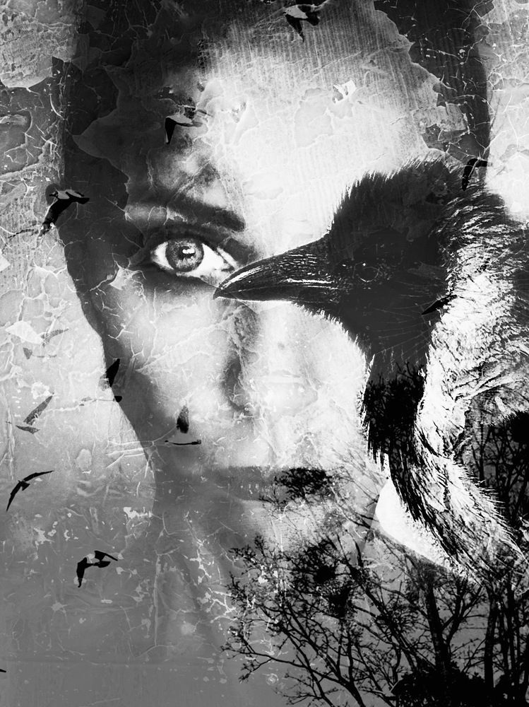 Фотография автора Zhanna Kolesnikova