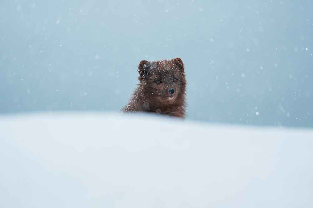 Фотография автора Karthik Subramaniam