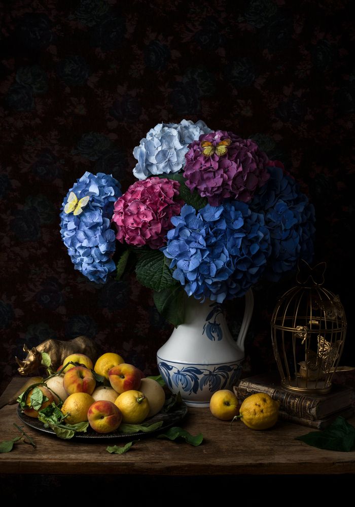 Феерия цвета