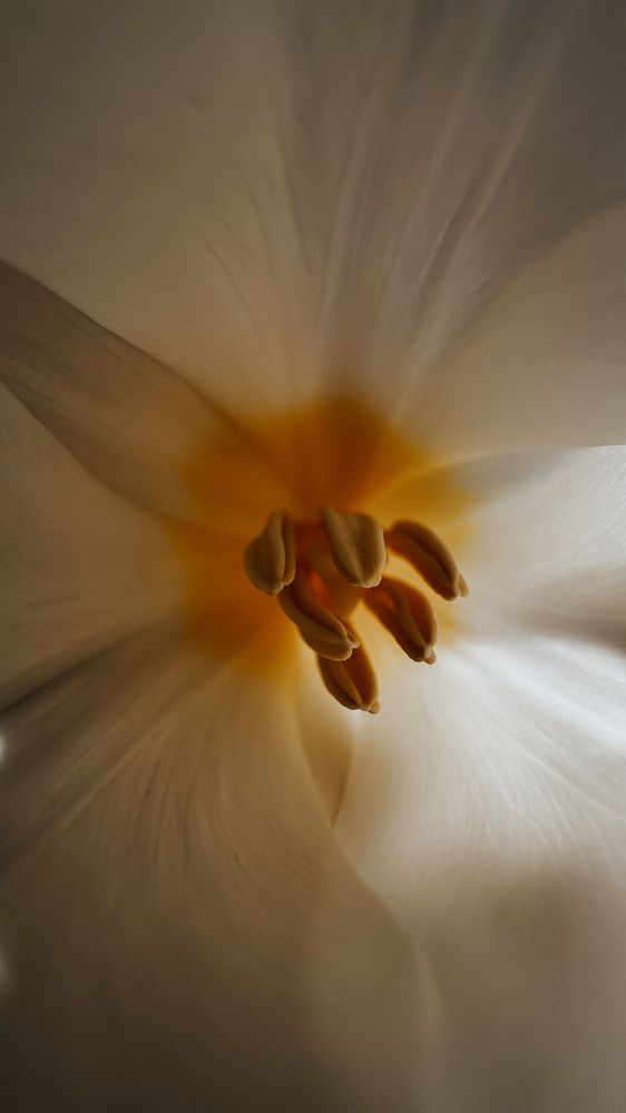 Photograph by Алёна Мозжухина