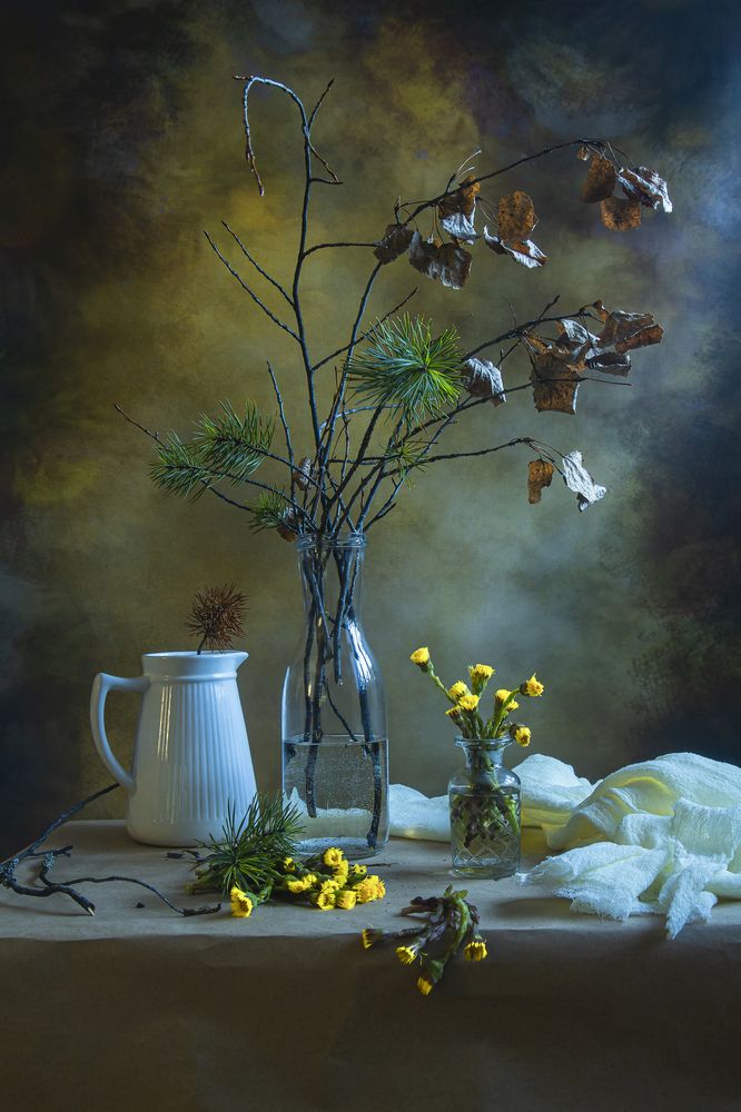 Фотография автора Елена Разина