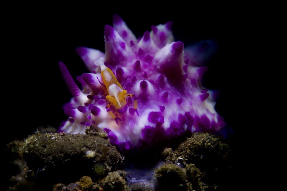 Photograph by Михаил Шабалин