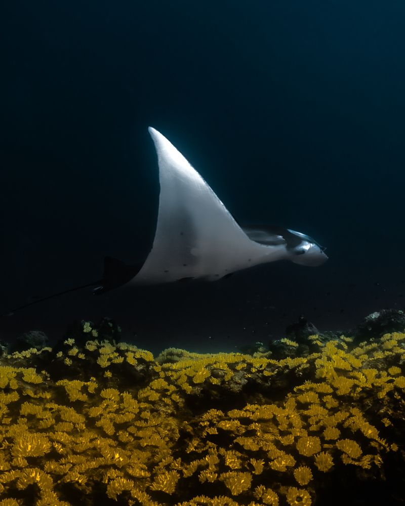 Photograph by nishijima takayuki