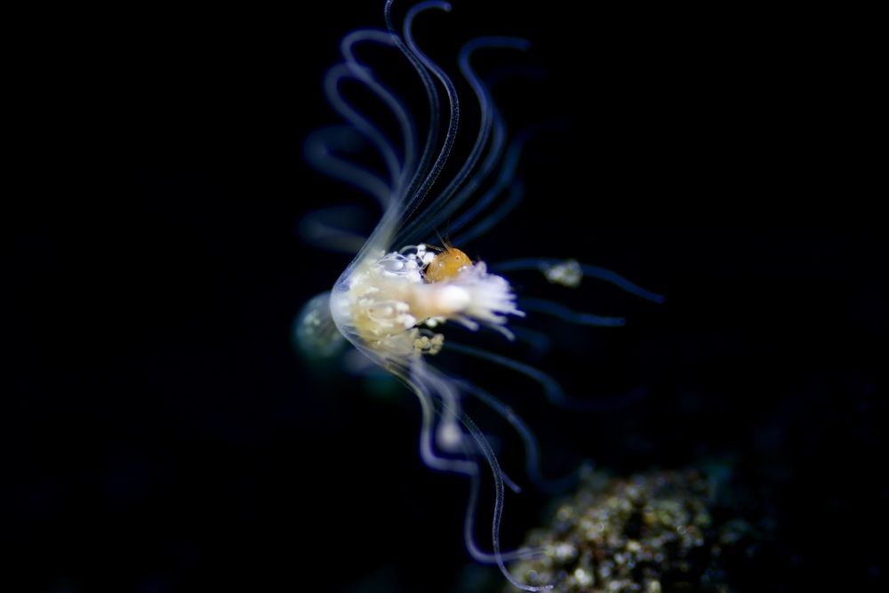 Photograph by Михаил Шабалин