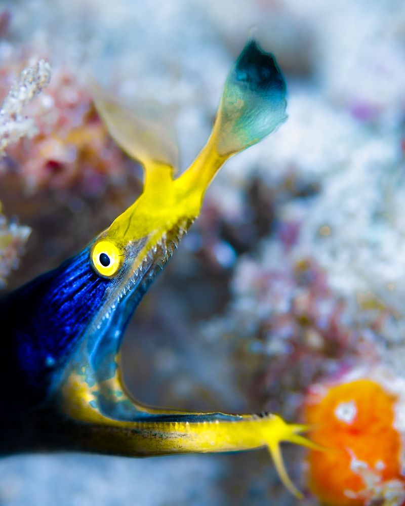 Photograph by nishijima takayuki