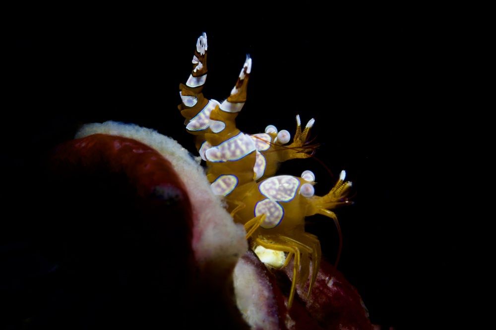 Photograph by Михаил Шабалин