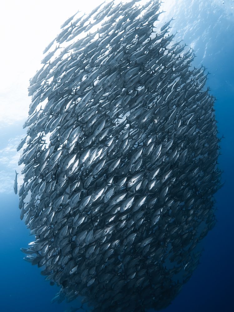 Photograph by nishijima takayuki