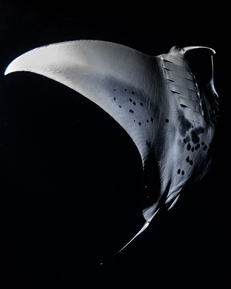 Photograph by nishijima takayuki