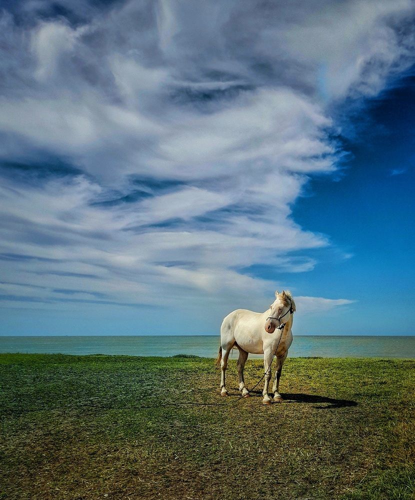 Фотография автора Roberto Hagemann