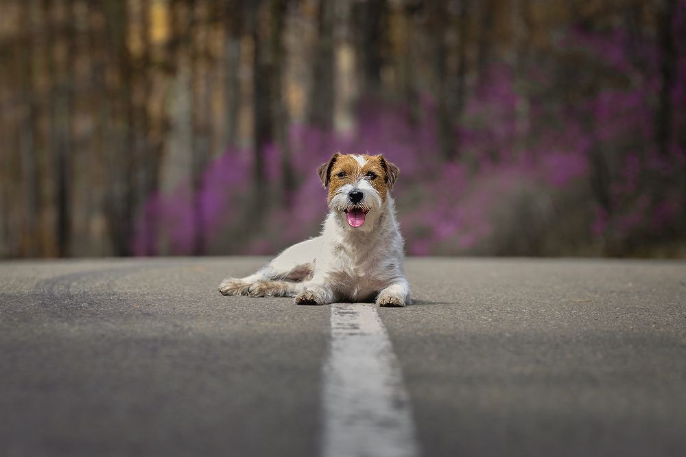 Photograph by Виктория Сафонова