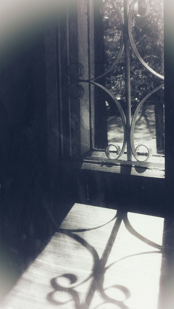 Photograph by Светлана Родионова