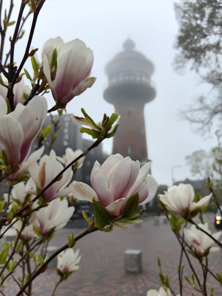 Photograph by Елена Акимова