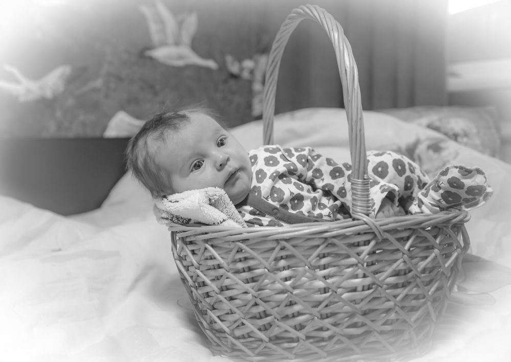 Photograph by Смирнов Валерий