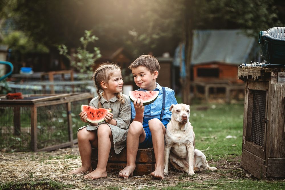 Photograph by Jessica Bähr