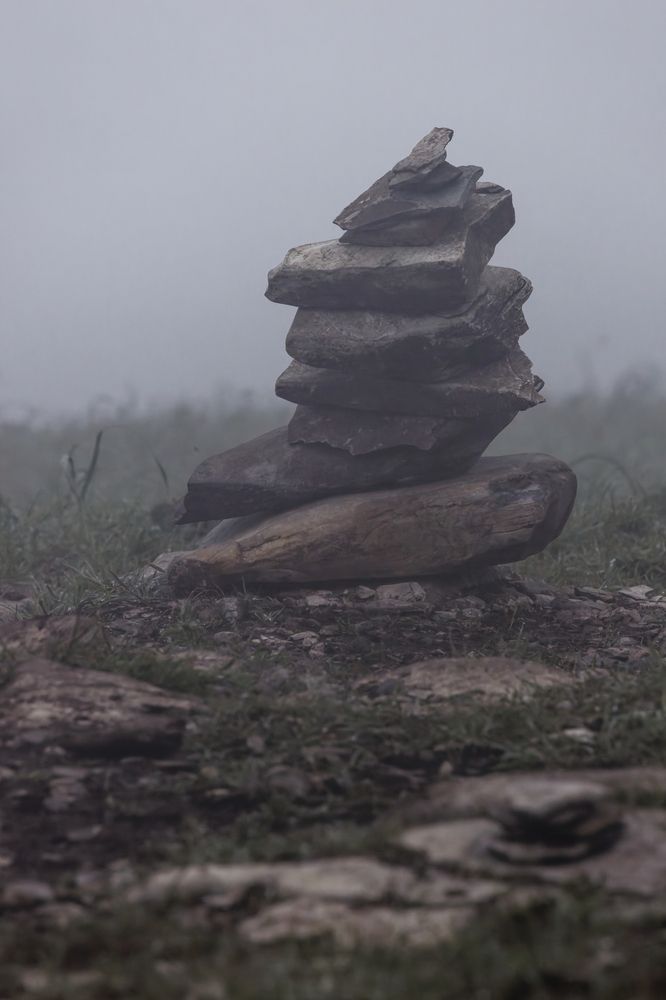 Photograph by Александр Селезнев