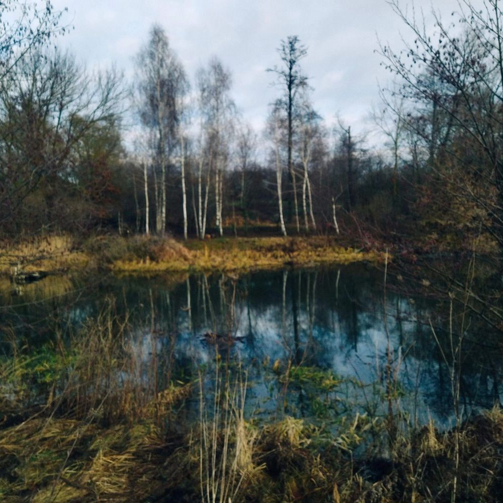 Photograph by Лариса Басова