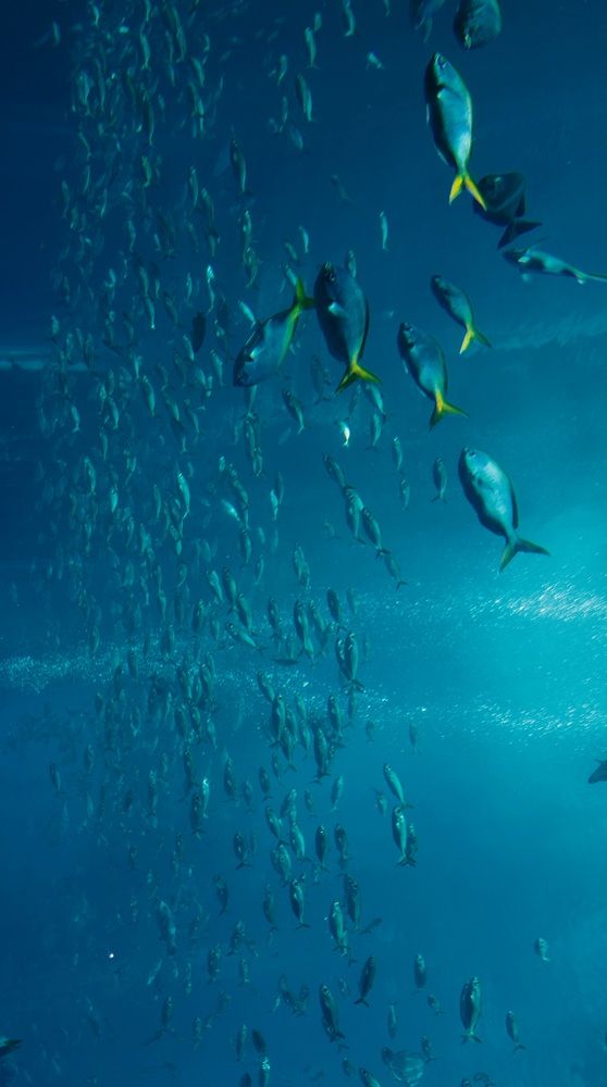 Photograph by Лилия Нуриева