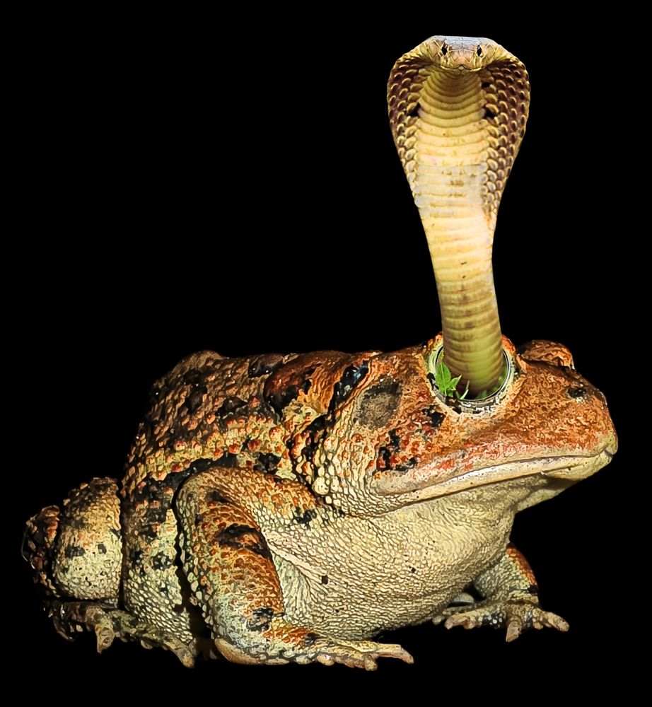 Tension Between Stillness and Movement