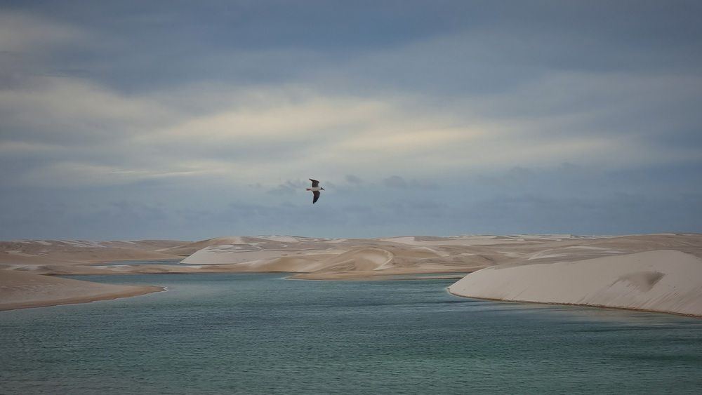 Photograph by Gr Marie