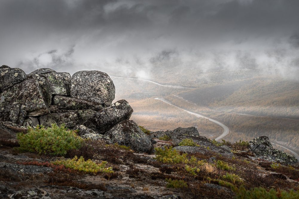 Photograph by Светлана Гореликова