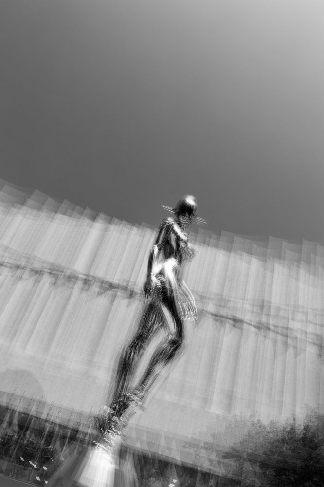 Photograph by Ni Bruce